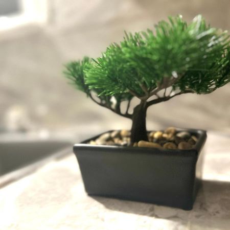 Albert Housing ウィンザー エクステリア 写真